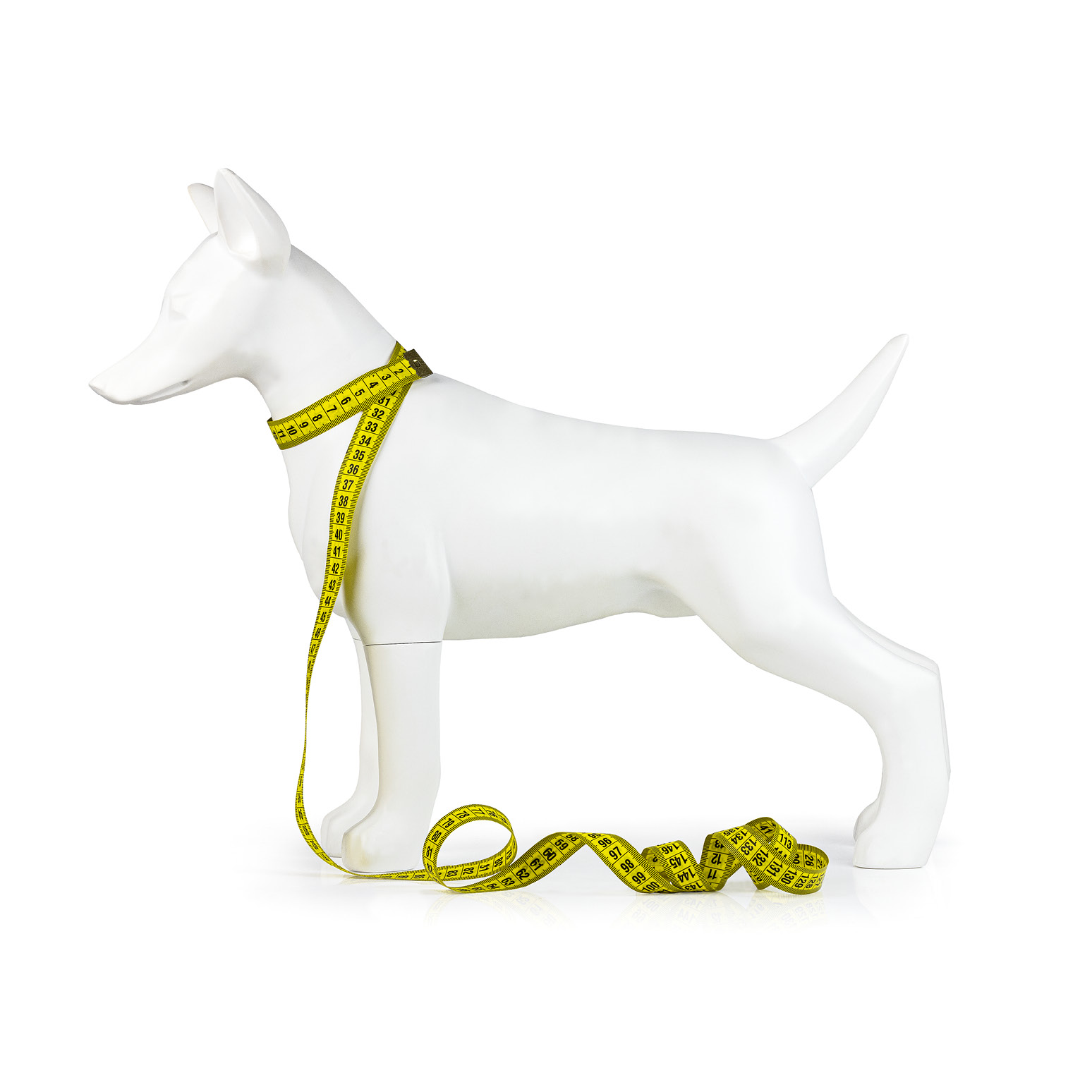 GUIDA_ALLE_TAGLIE_collo_743x743pixel3