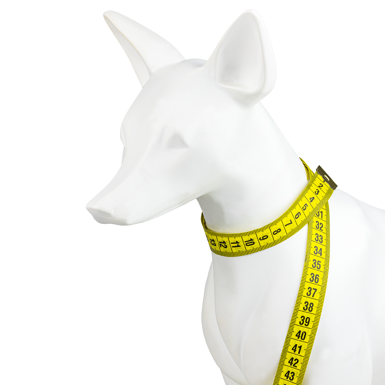 GUIDA_ALLE_TAGLIE_collo_bamndana_743x743pixel4