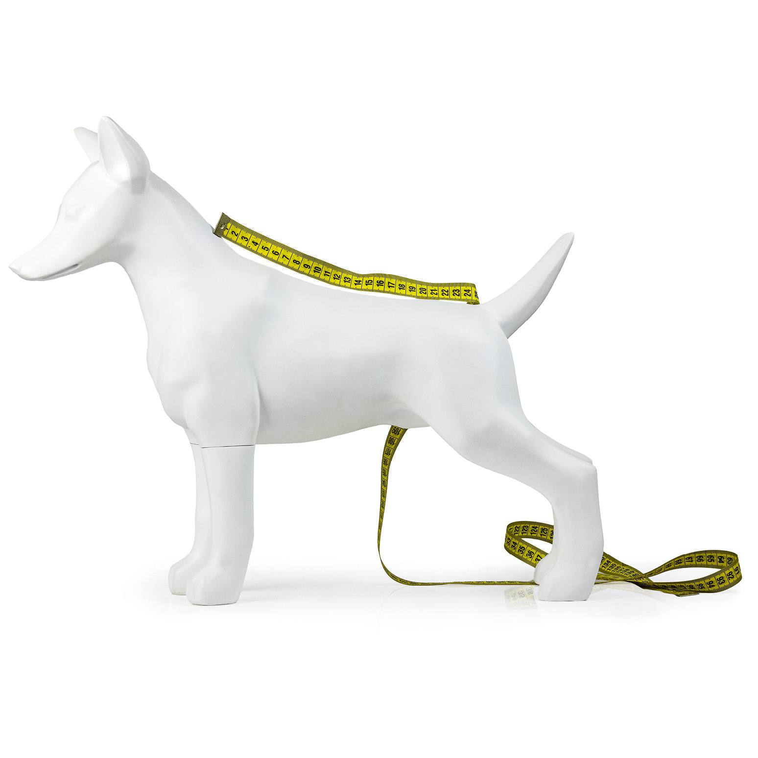 GUIDA_ALLE_TAGLIE_schiena_743x743pixel