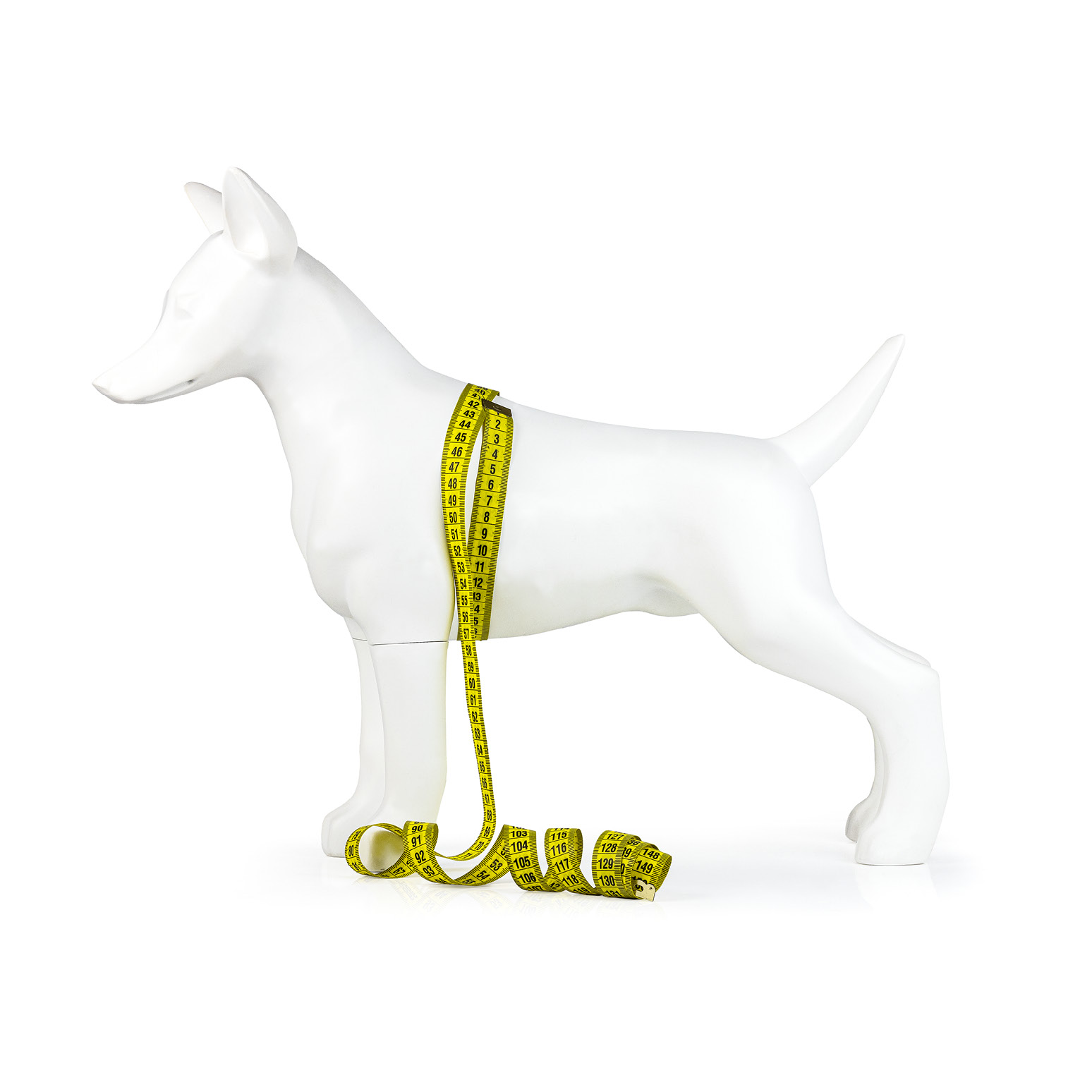 GUIDA_ALLE_TAGLIE_torace_743x743pixel2