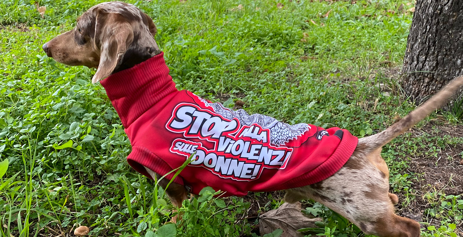 Bassotti_La_Bassotteria_orizzontale