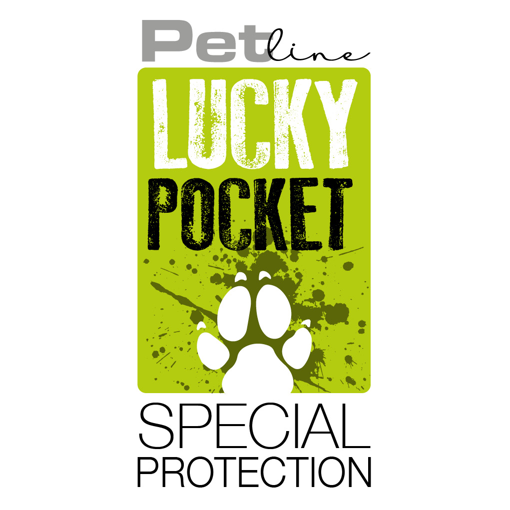 My_LOGO_LuckyPocket