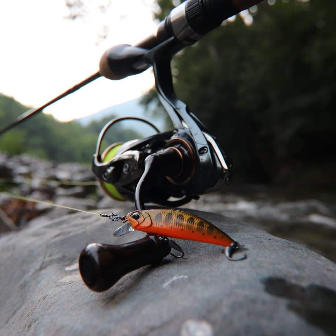 WhatsApp-Image-2021-01-24-at-20_31_11