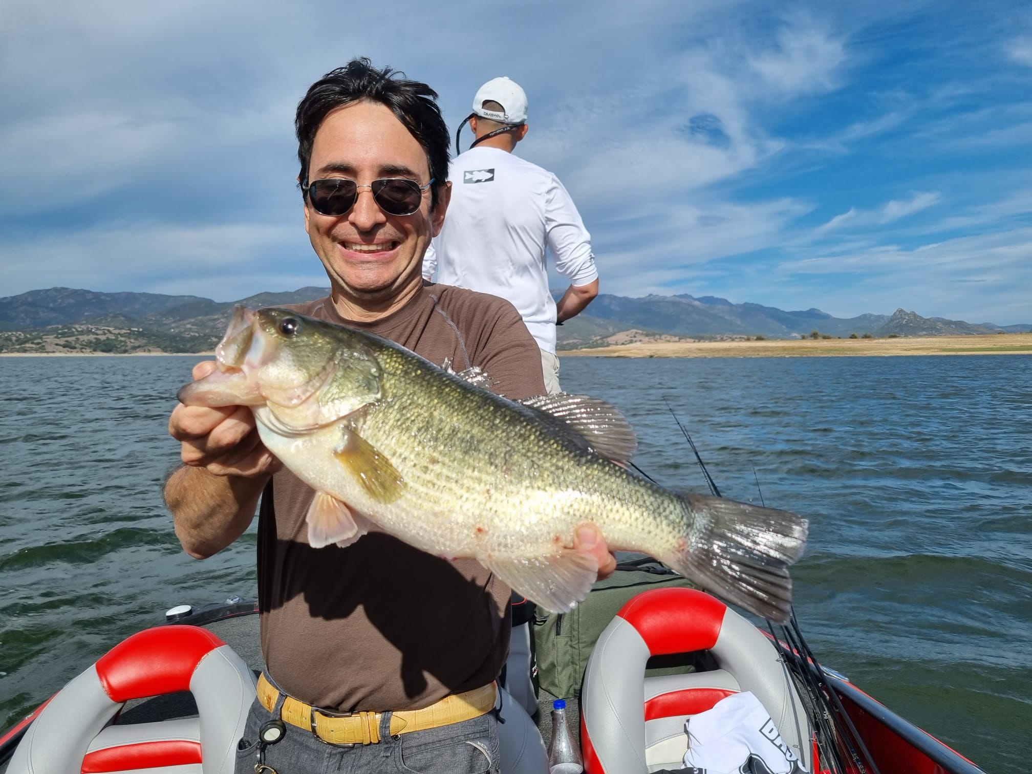 95238674-cf64-4402-825b-7c7022021b1c