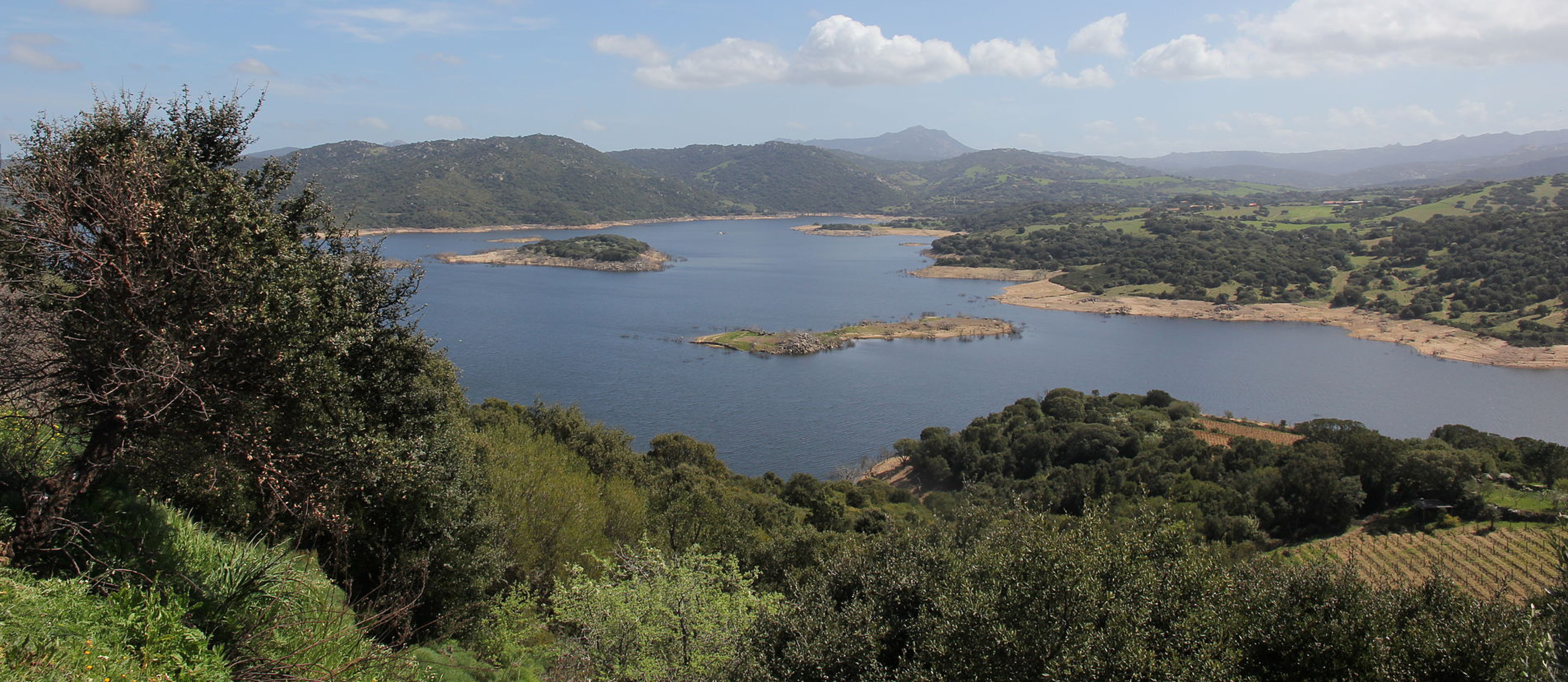 APERTURA_Liscia_02_2210x962