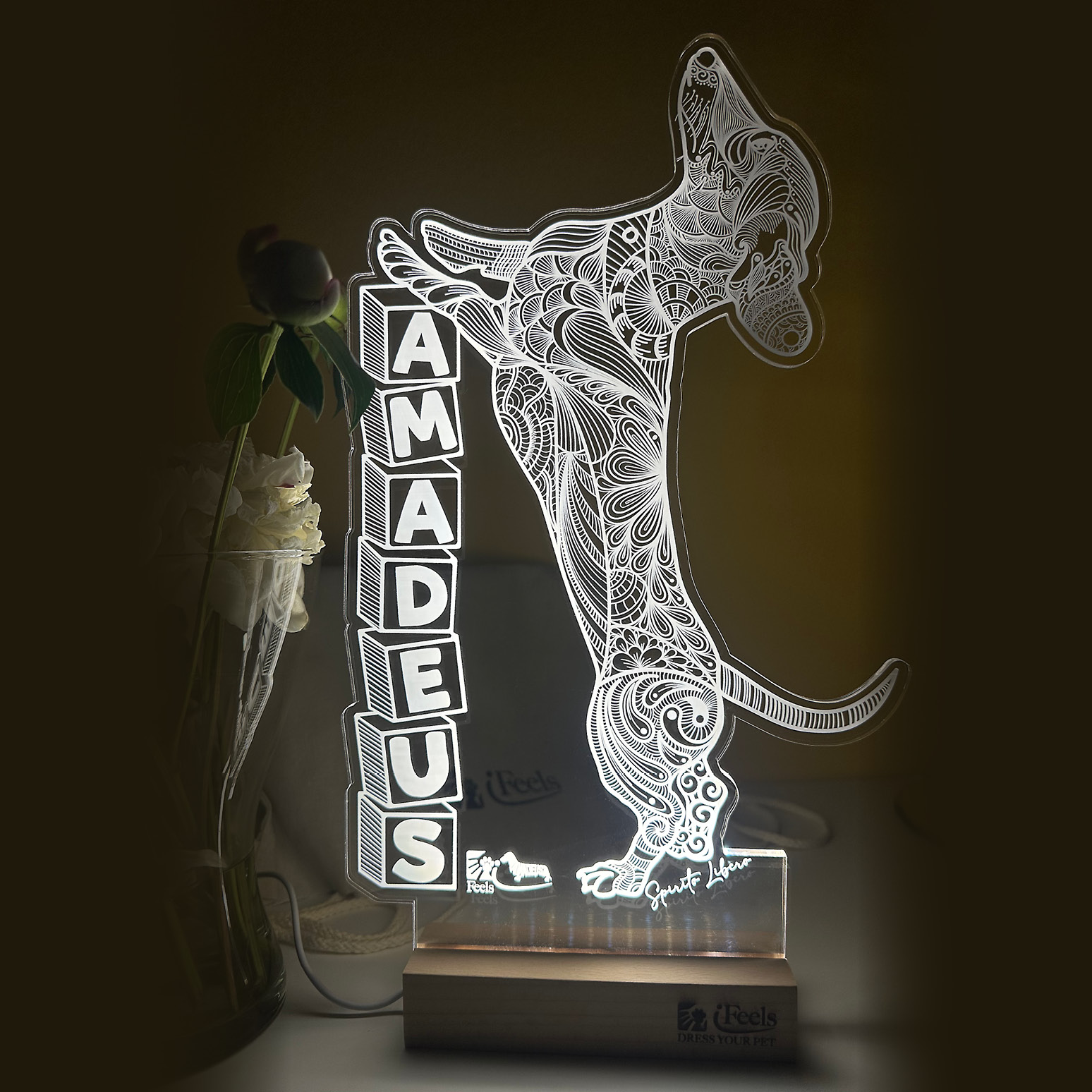 ACCESSORI_LAMPADE_743x743pixel4