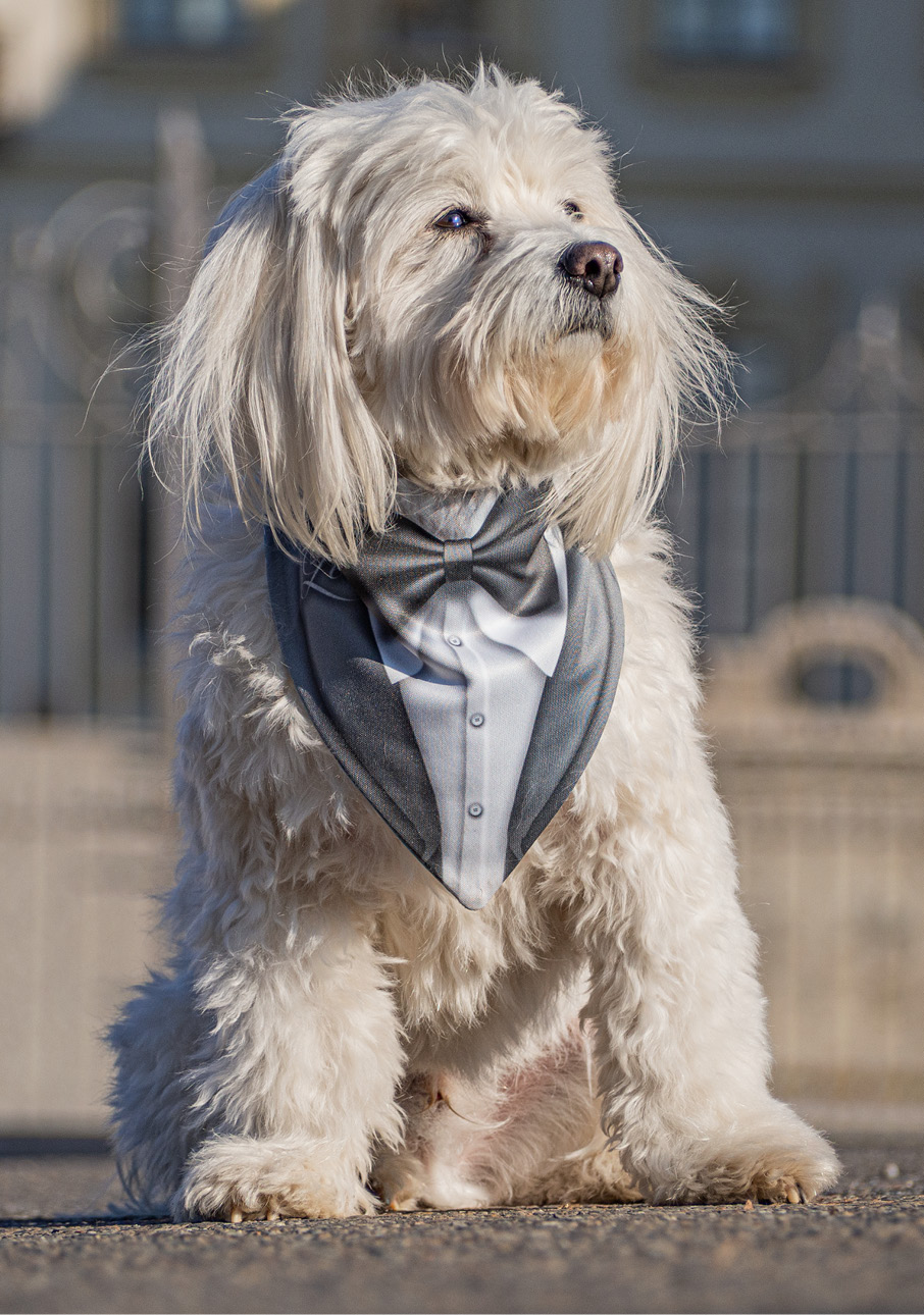 i_nostri_clienti_435x619px