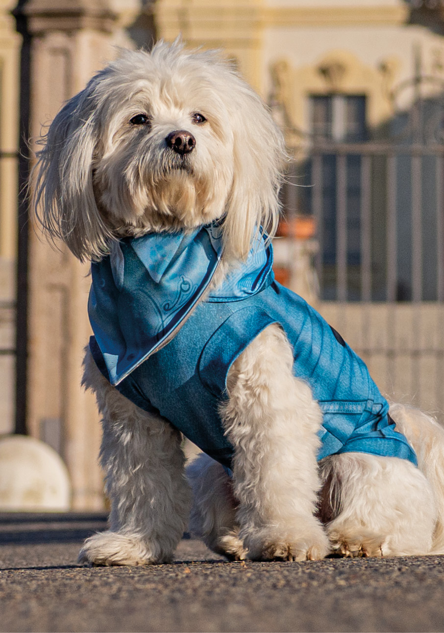 i_nostri_clienti_435x619px10