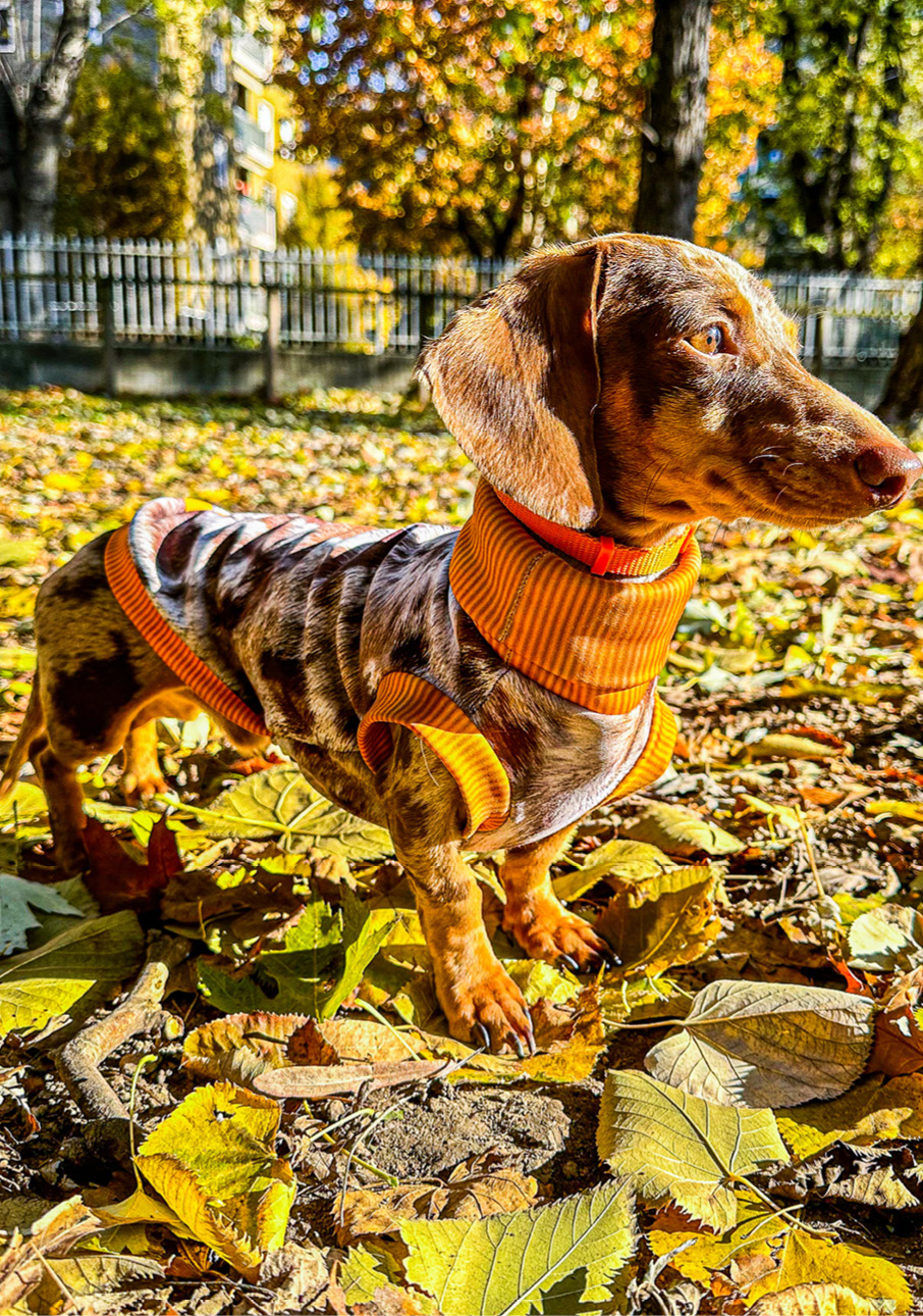 i_nostri_clienti_435x619px21