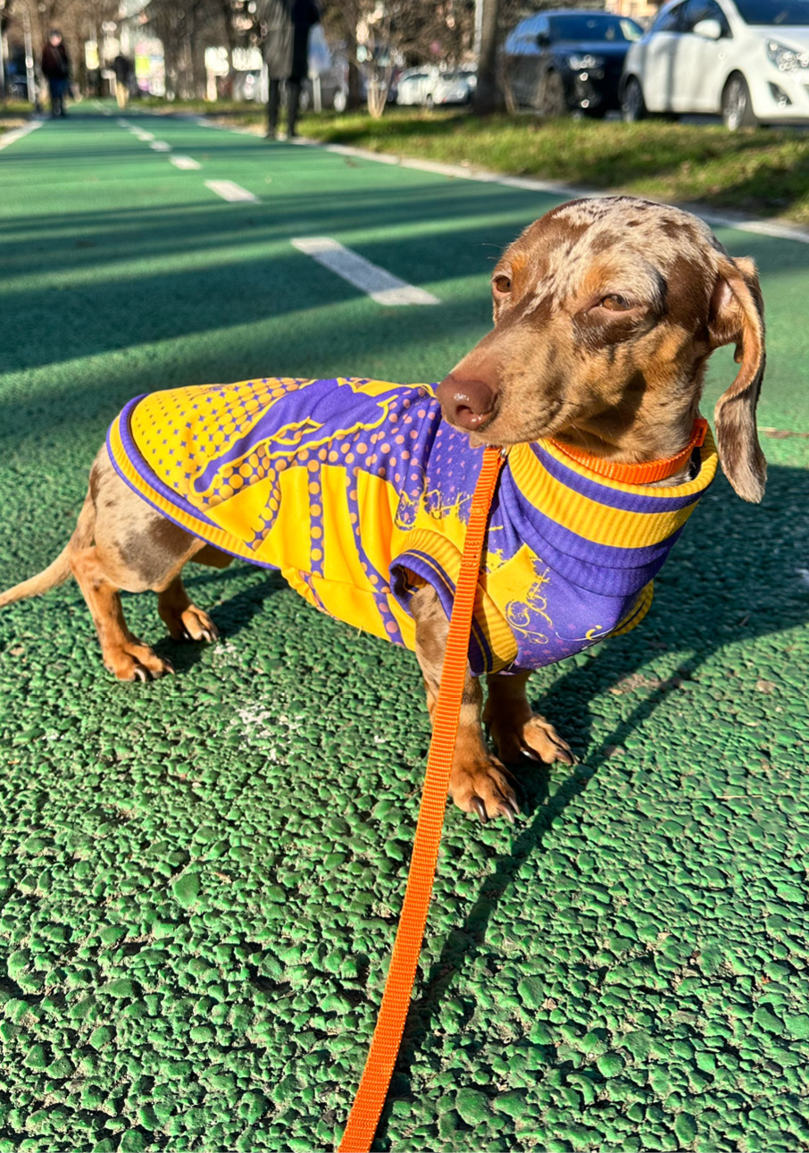 i_nostri_clienti_435x619px37