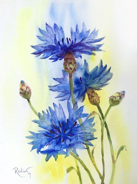 Irina_Redine_-_Paintings_for_Sale