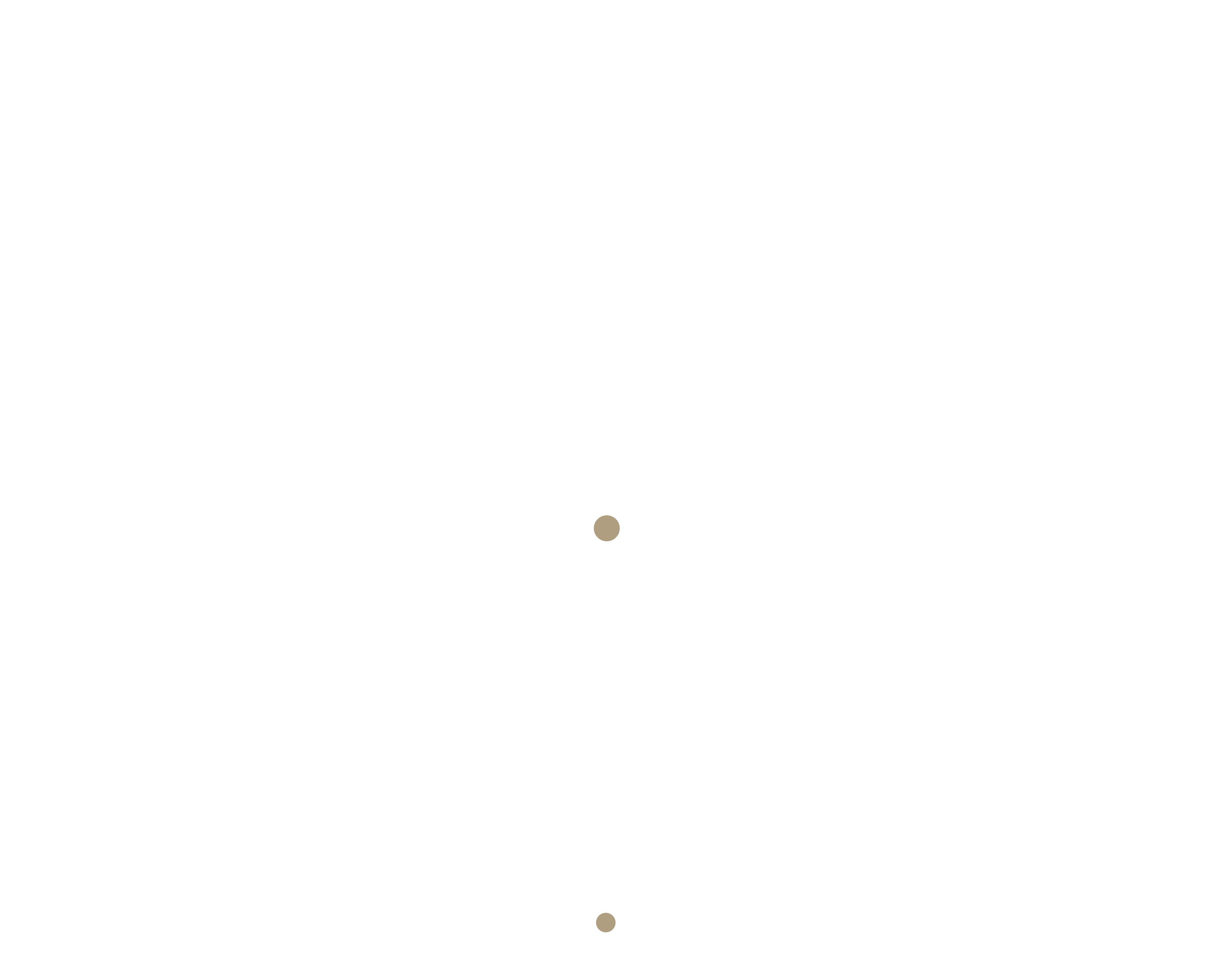 Logo_RuslanDao__bold_white_tiny