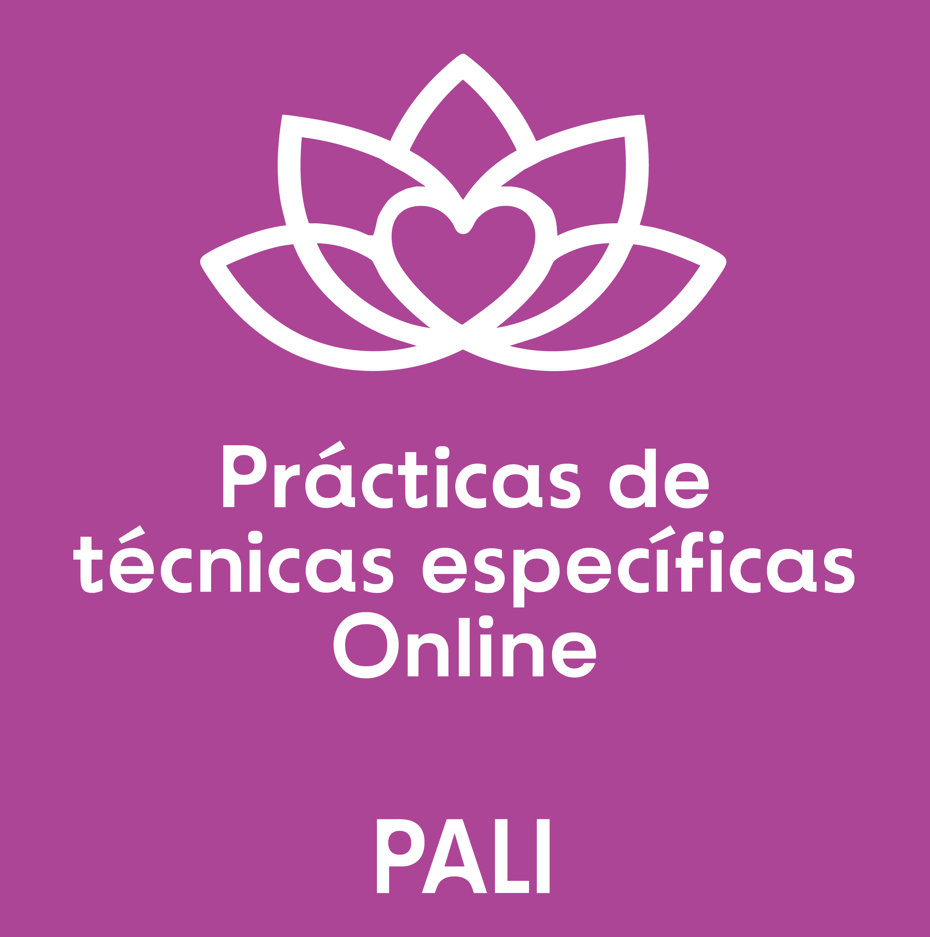 modelo-01