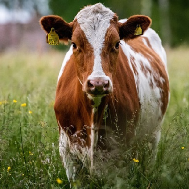 Dizayn_bez_nazvaniya_4