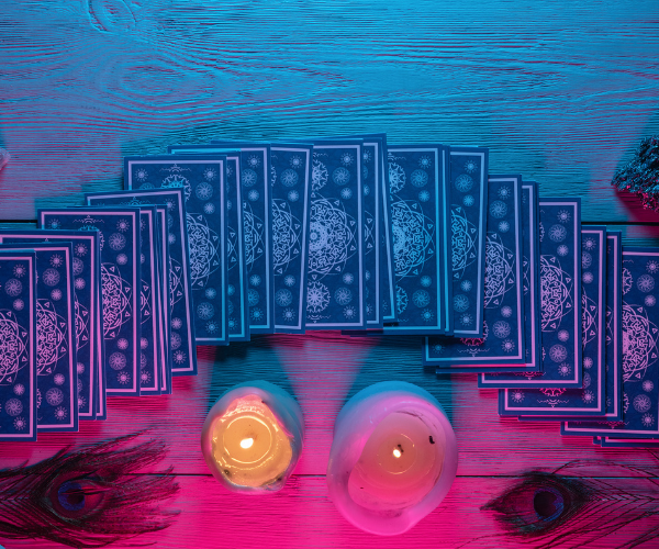 taro1