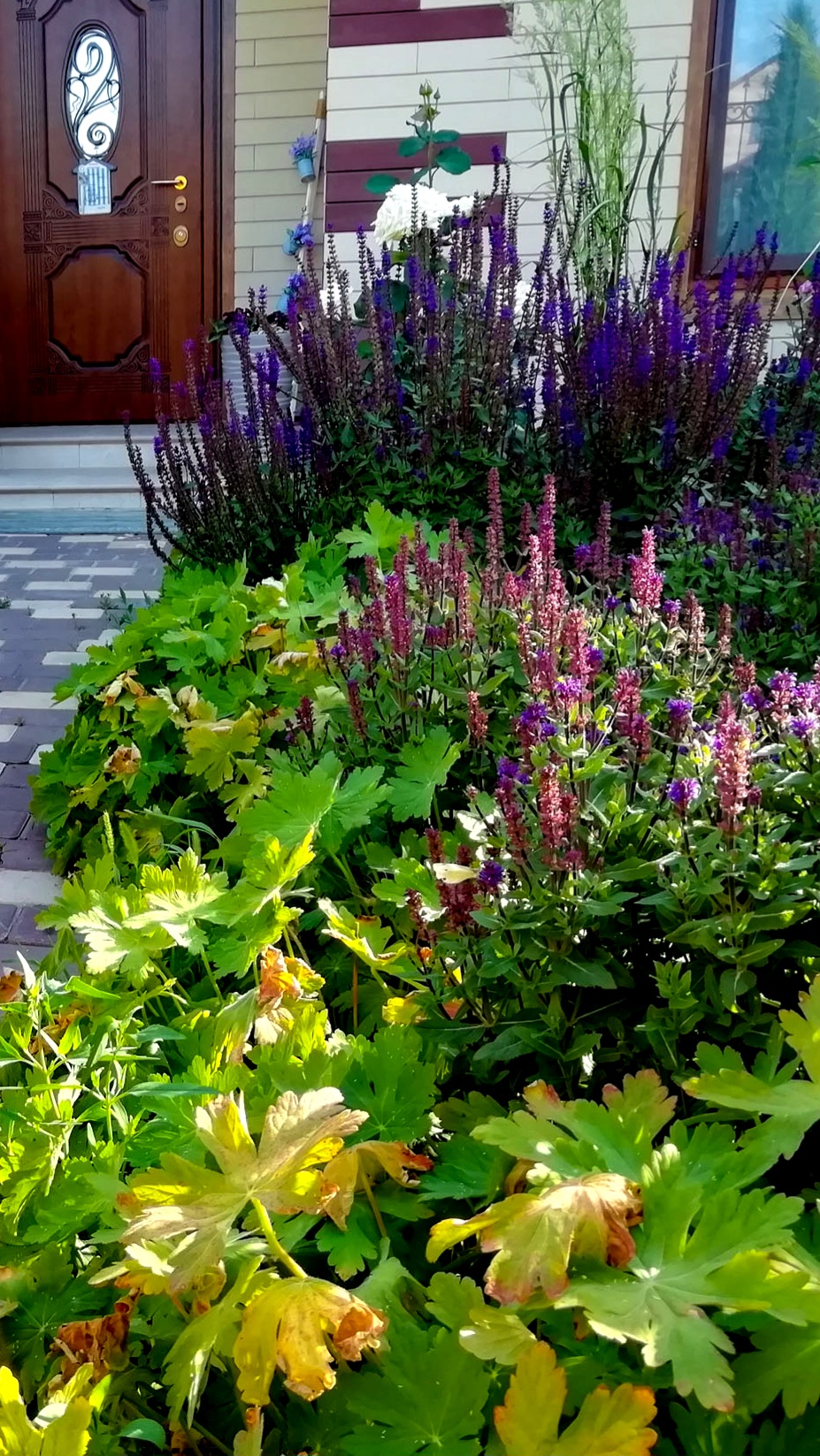 IMG_20230805_150506_347