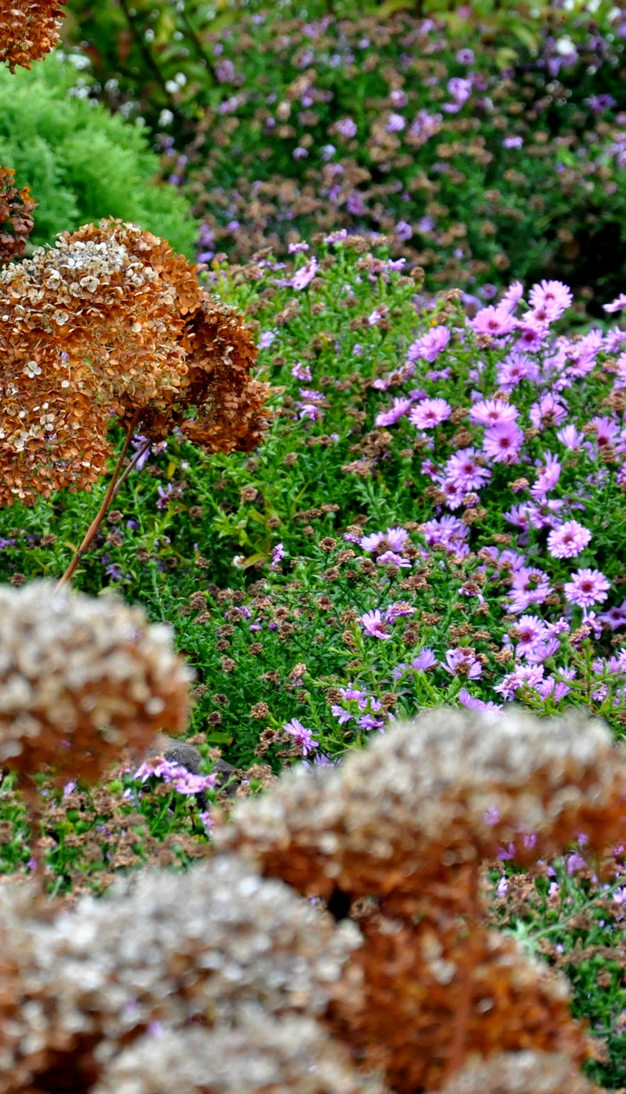 IMG_20230805_150526_850