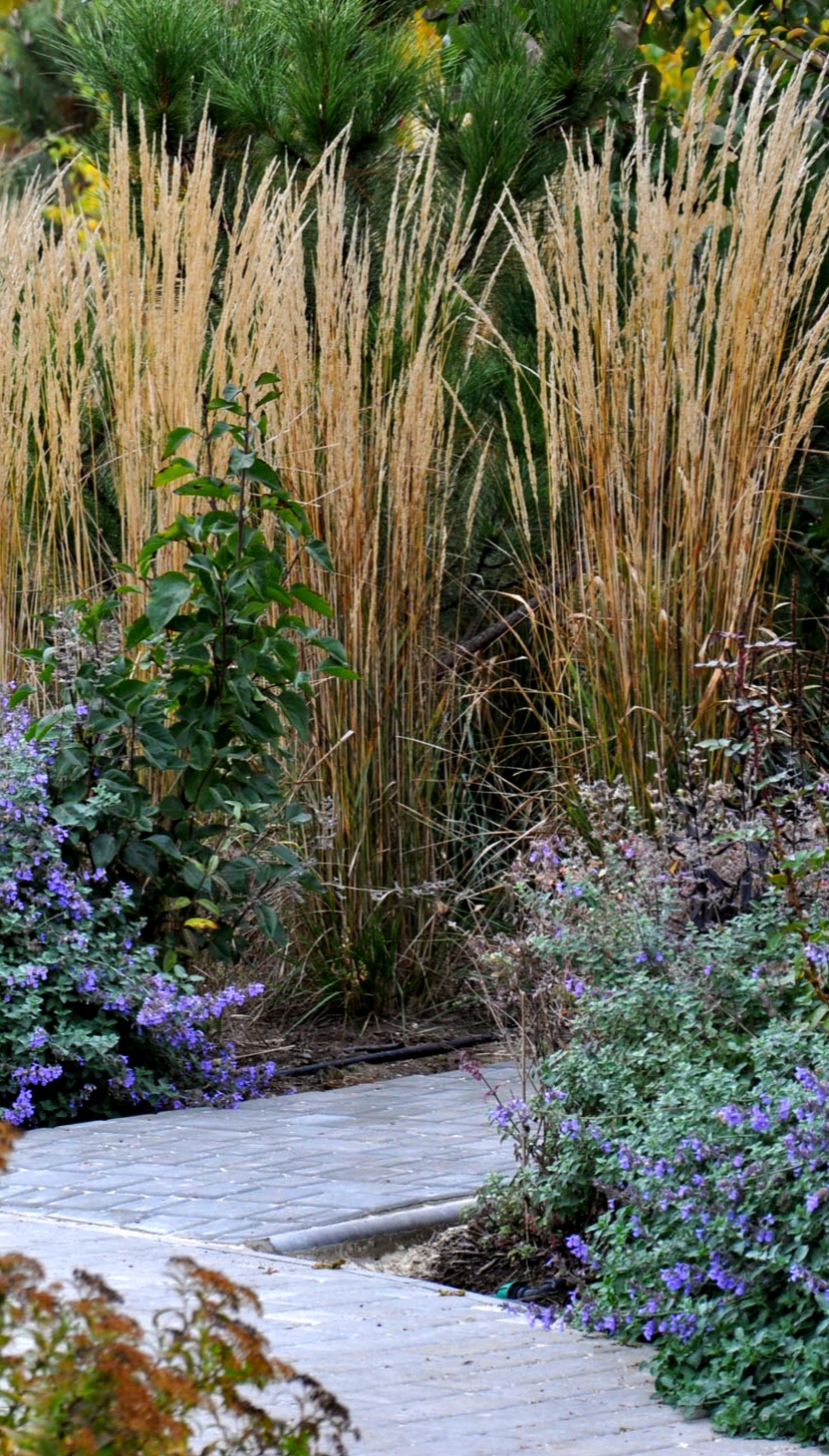 IMG_20230805_150535_761