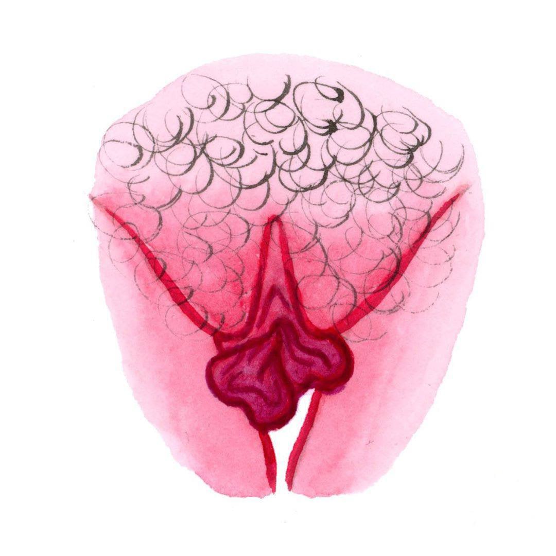 photo_2024-12-19_09-05-05