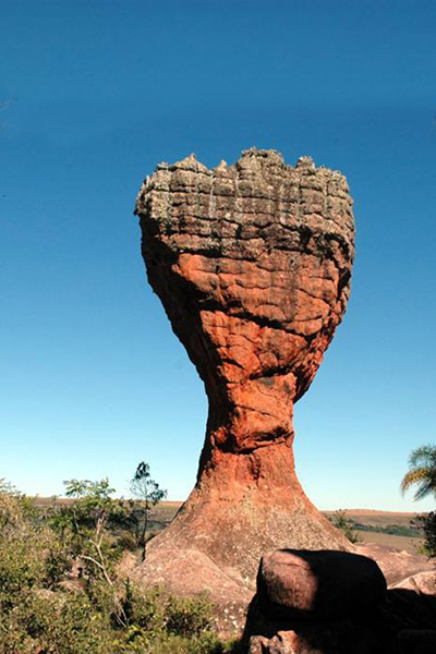 PONTA_GROSSAPRONTA_GROSS