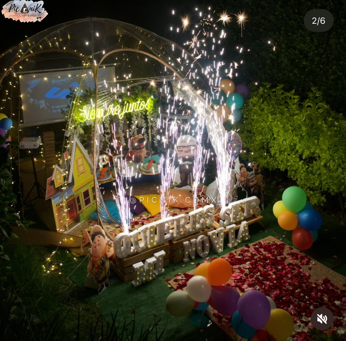 Cena Disney Up