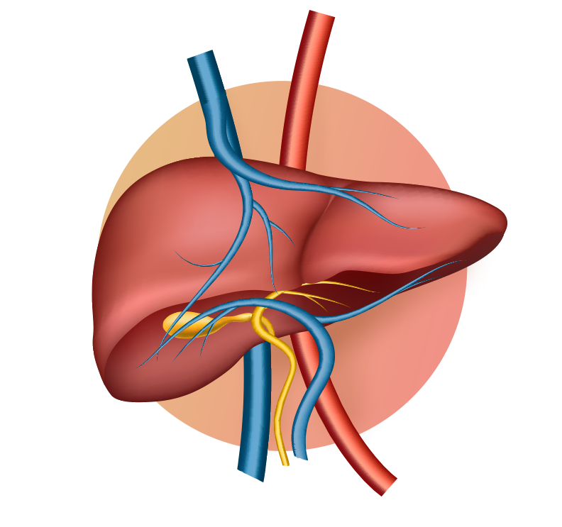 fc36ca7df3c4f7e1d1c54c885b1fb0ce