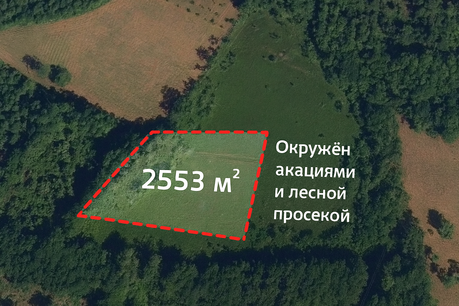 1F8FCAAC-0879-46DE-AD32-665C7B41025B