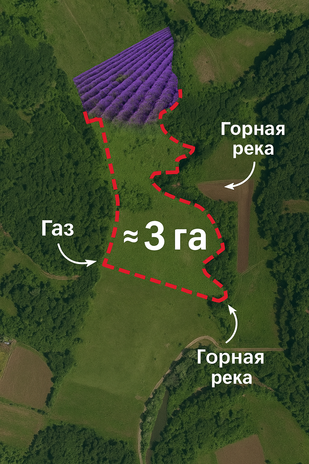 D27A32E1-D784-4CB6-A487-BE4D1D324453
