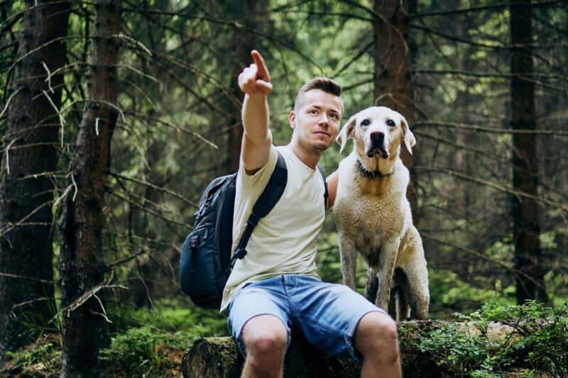 up-hiker-with-dog-in-forest-man-and-his-labrador-ret-2023-11-27-05-28-47-utc-800x533_1