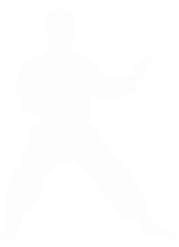 martial-arts-master-on-fight-training-in-gym-2021-08-26-16-26-08-utc11