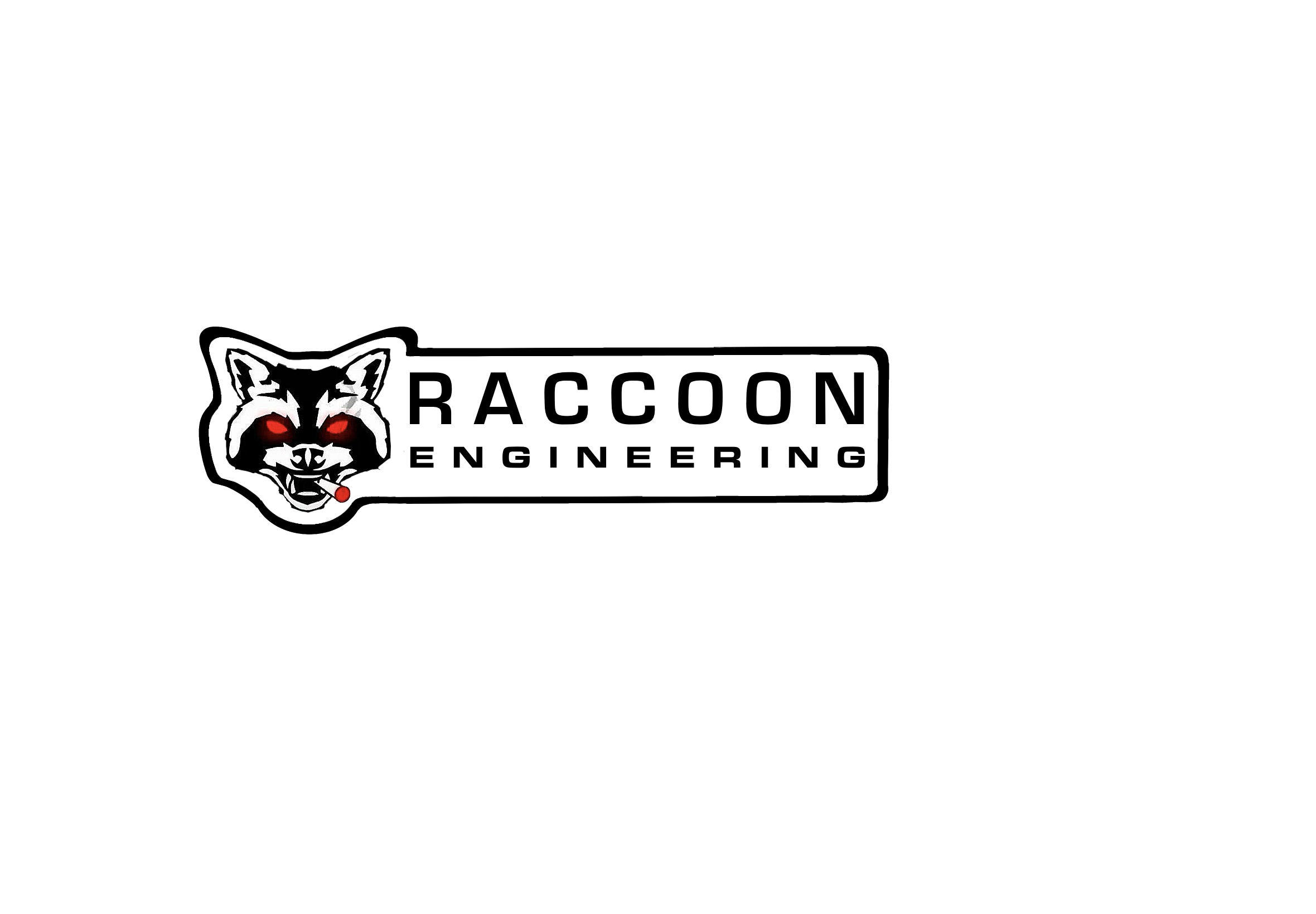 Raccoon_whitebackground