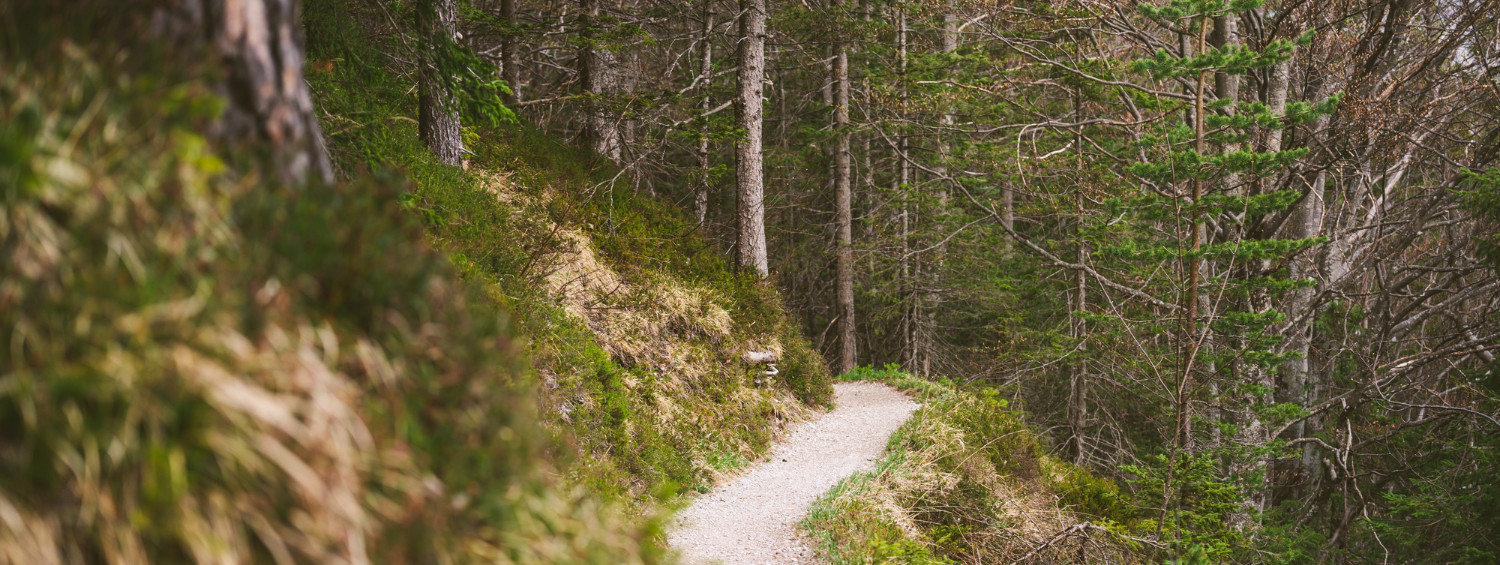 trail