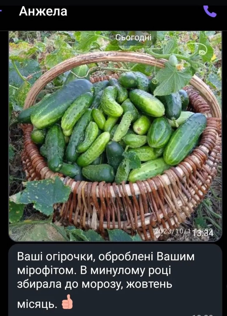 444203985_18020258609187919_6196850688461845615_n