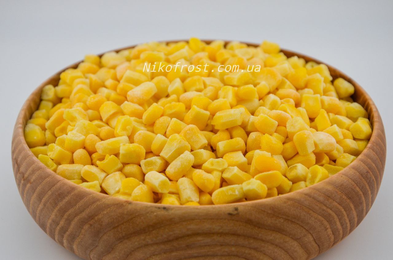 photo_2023-12-21_19-36-53