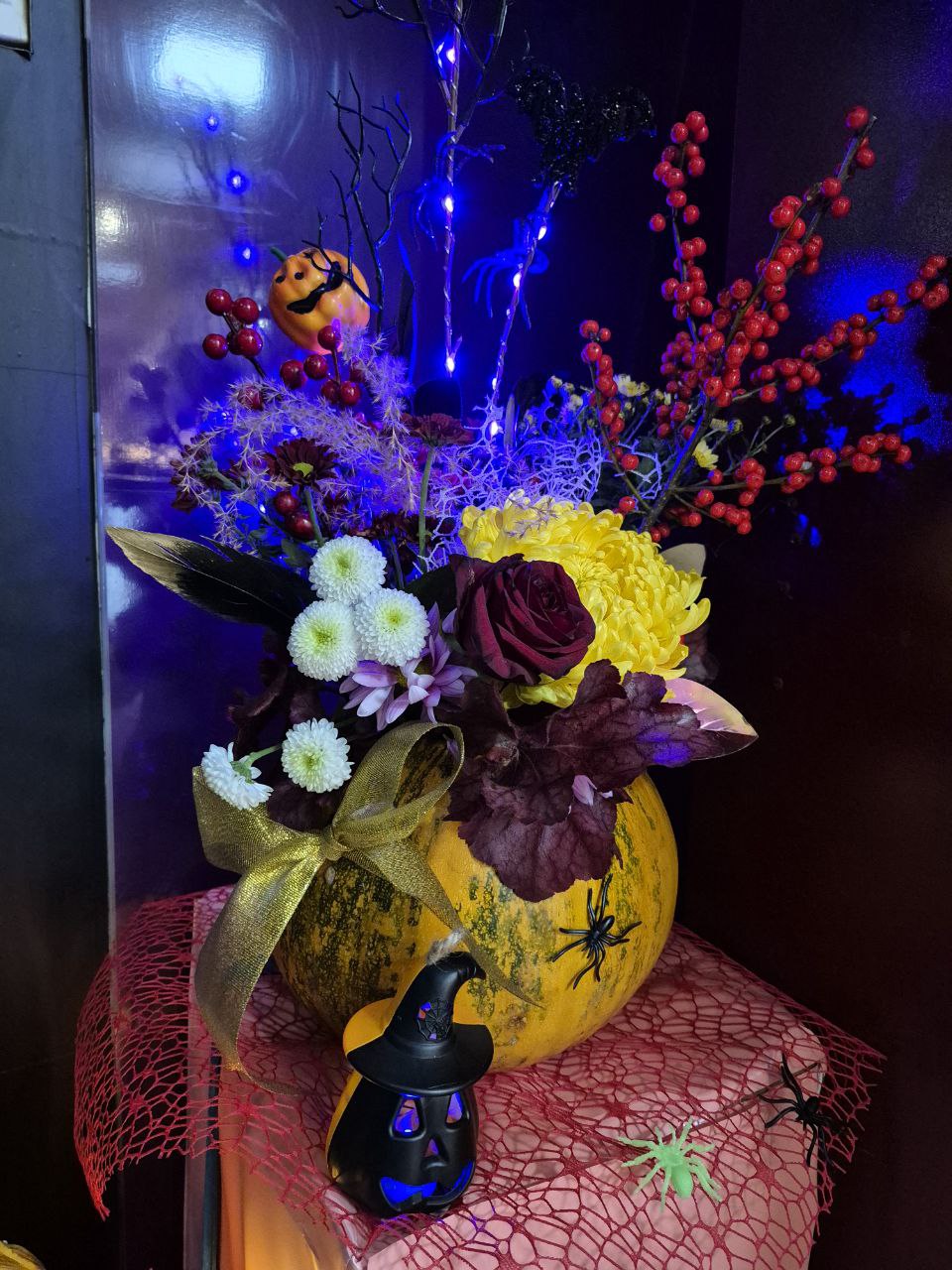 photo_5444920012293930358_y