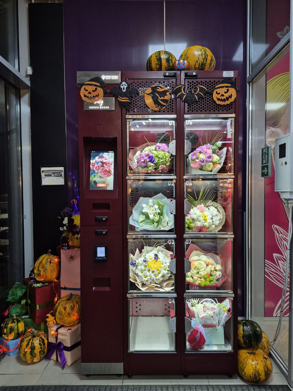 photo_5444920012293930359_y