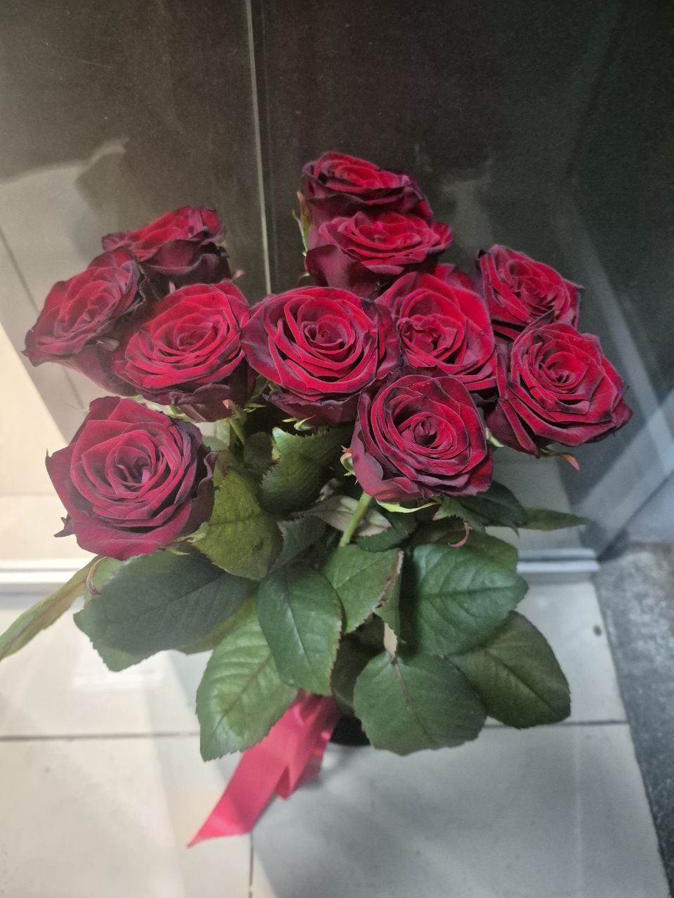 photo_5460867457792211909_y