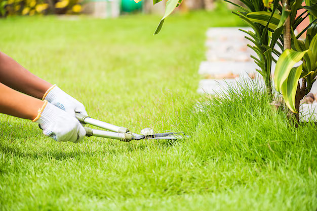 lawn_care