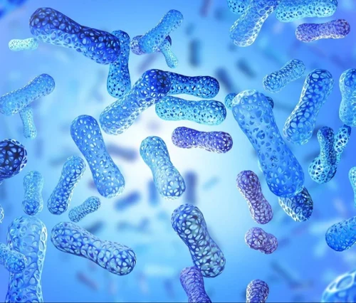 lactobacillus-acidophilus-powder-500x500