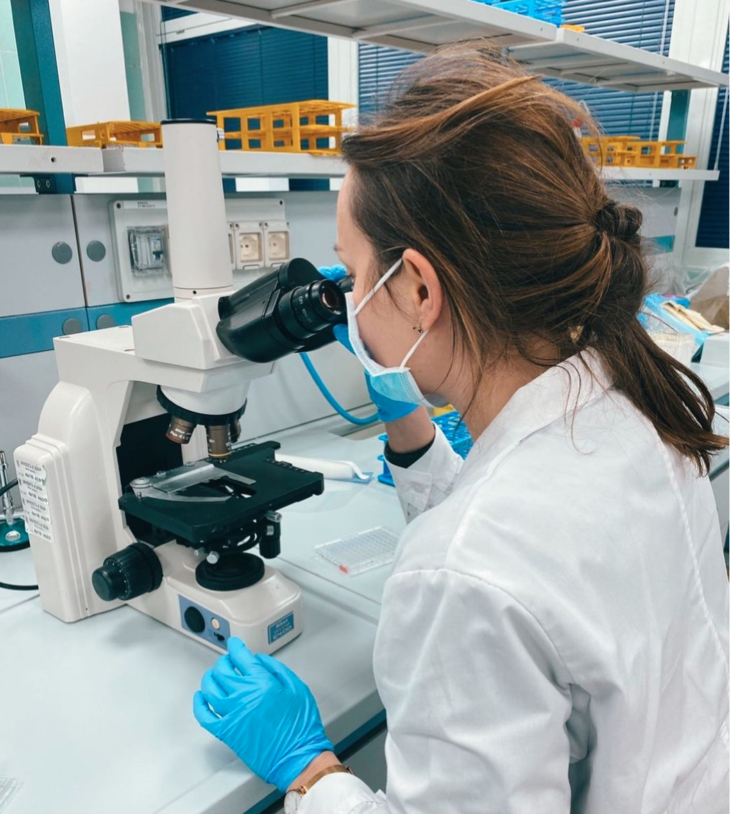 Snimok_ekrana_2024-07-14_v_17_17_59