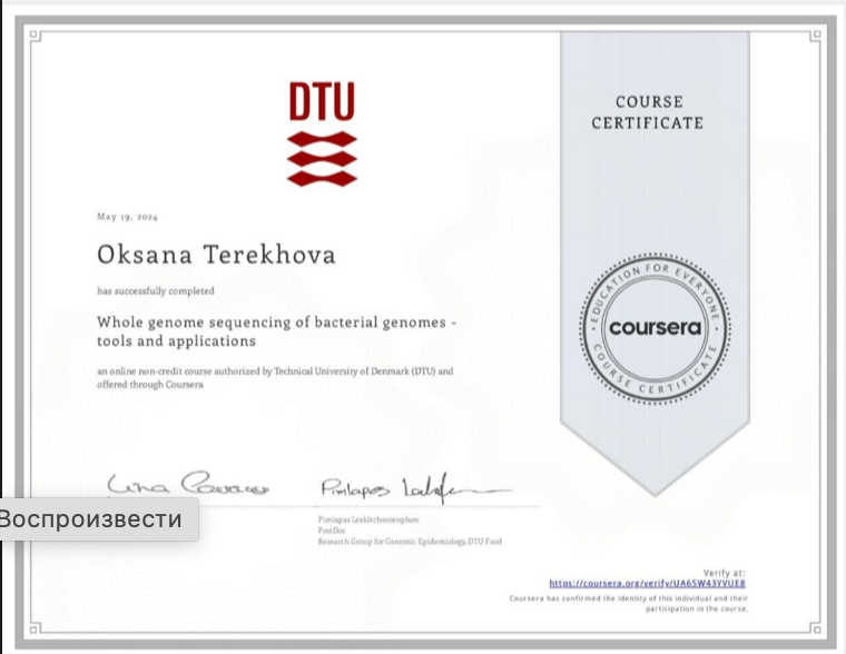 Snimok_ekrana_2024-07-19_v_19_09_46