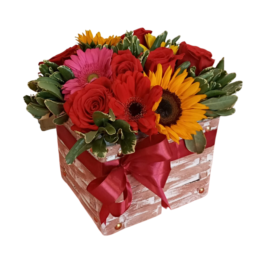 Sin_ttulo_1000_1000px_12