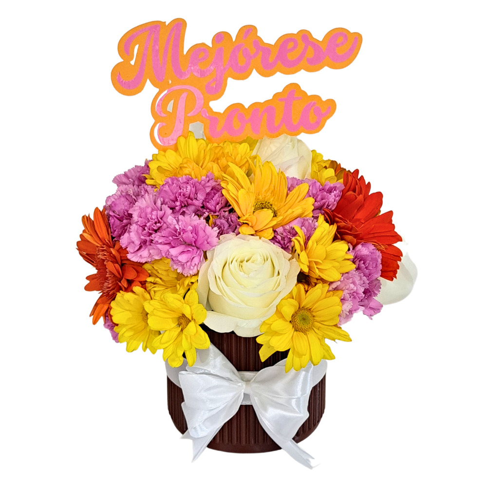 Sin_ttulo_1000_1000px_11