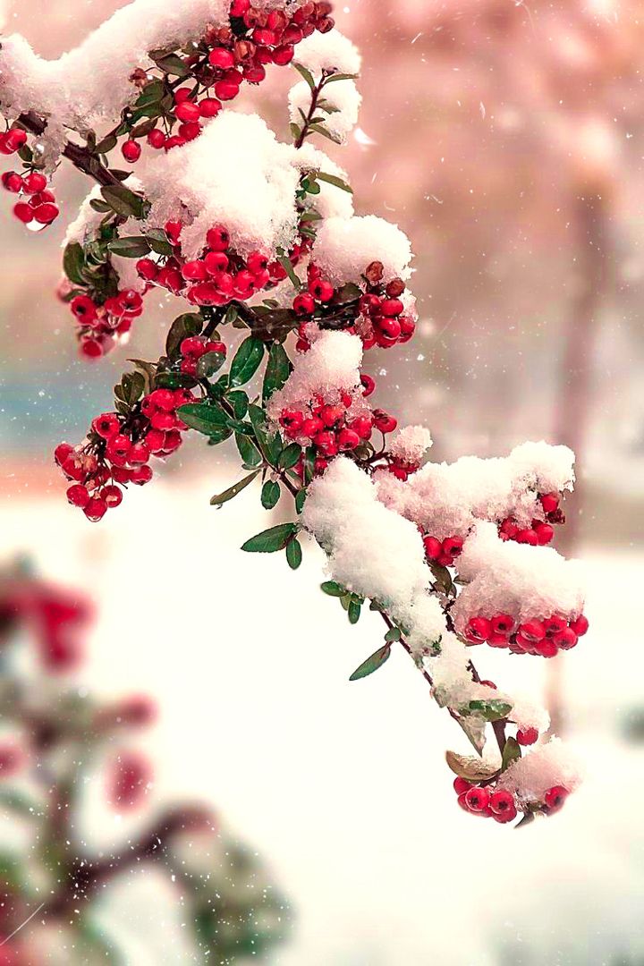 Edited_by_me