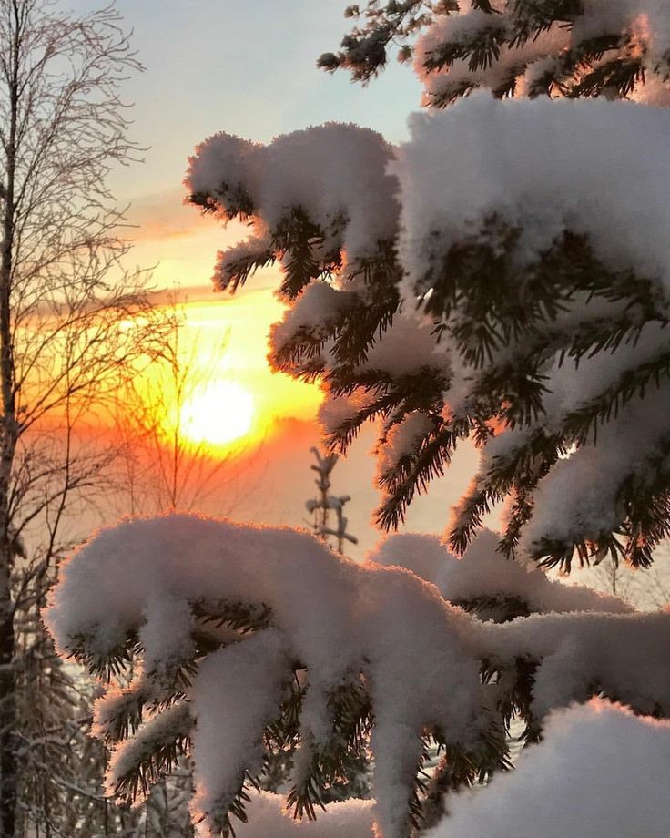 bd23bf28-d863-436e-b4bb-06a2508d0e82