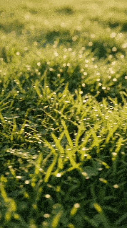 ezgif-680c0c1454e8ff27