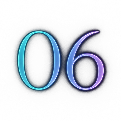 06