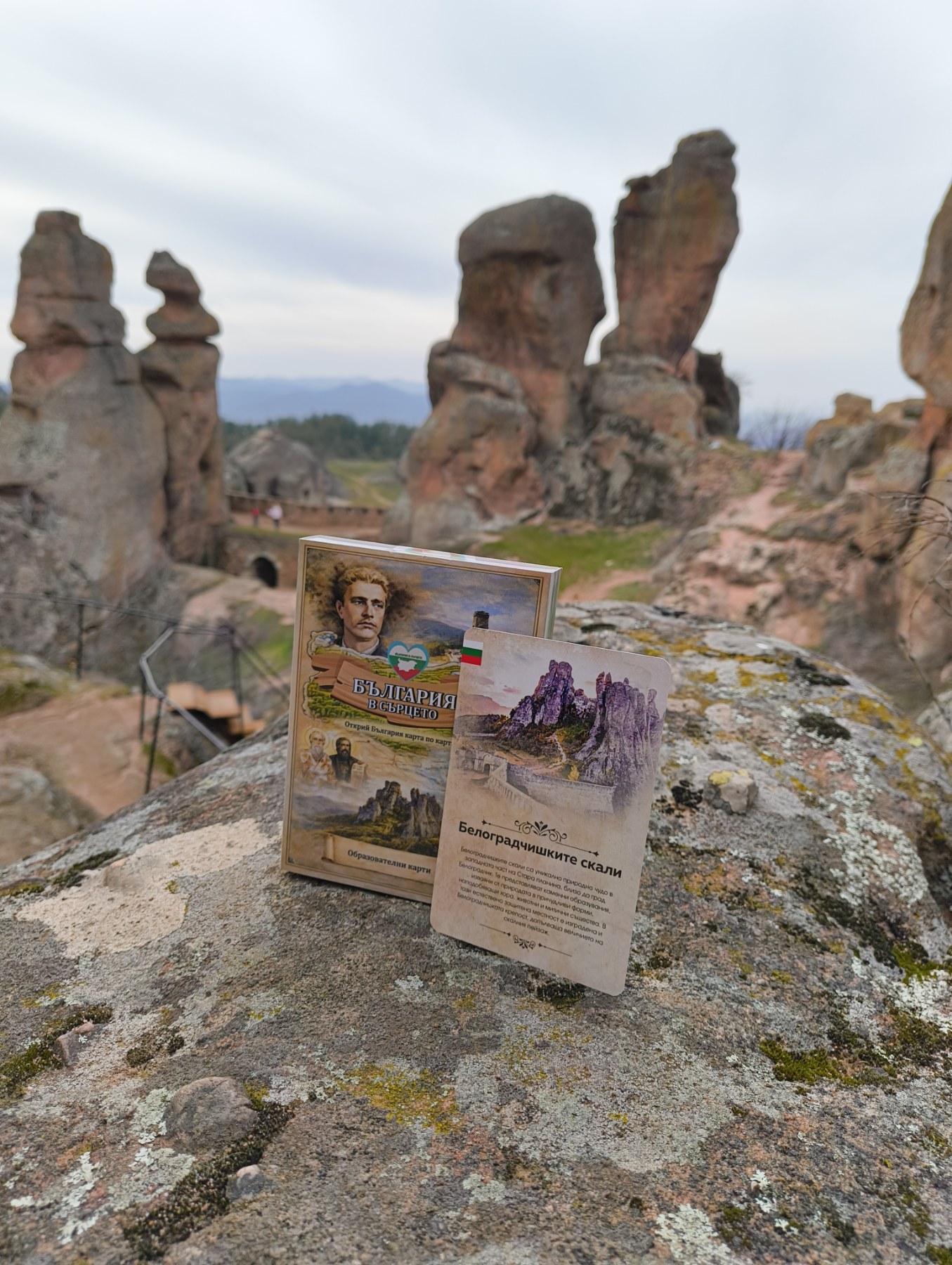 IMG-d88d450cf0f52608a1d23811497cc4a4-V