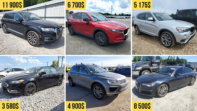 photo_2024-12-03_12-33-23