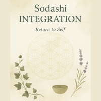Sodashi_Integration_2